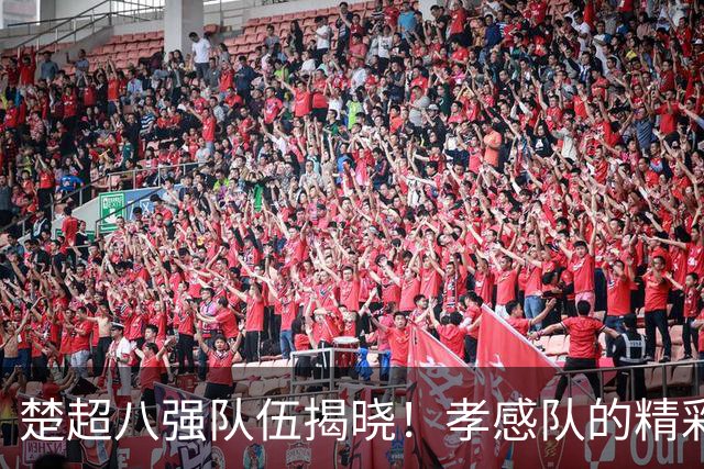 楚超八强队伍揭晓！孝感队的精彩表现引关注